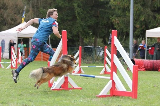 Des Roselières Armoricaines - Sélectif Grand Prix de France d'agility