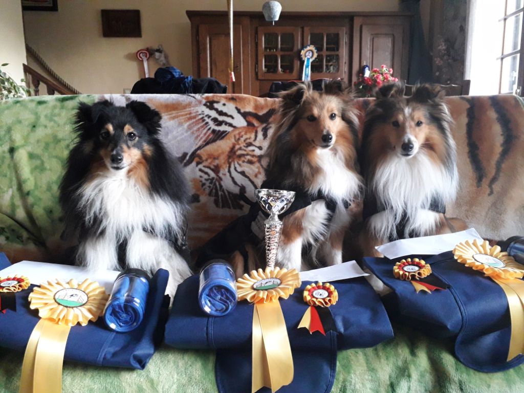 Des Roselières Armoricaines - Concours d'agility de Vigneux